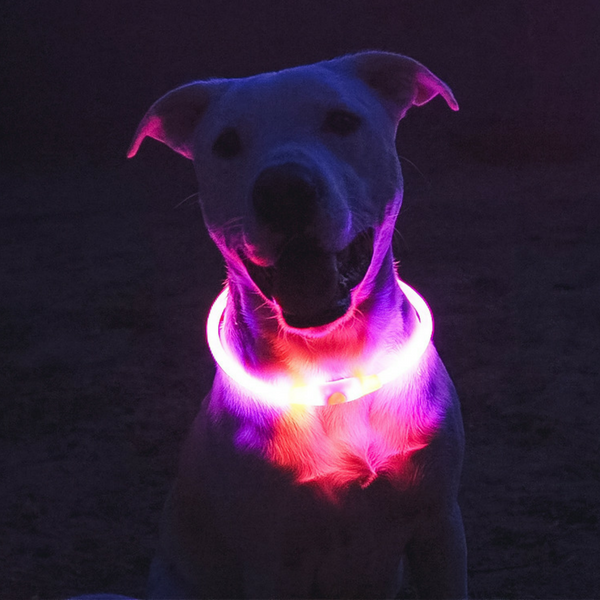 VELVETY VIOLET | LED Cat Halo Collar