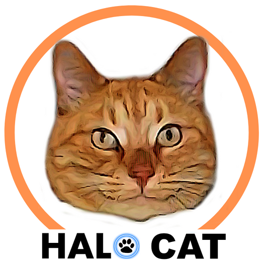 TIGER ORANGE | LED Cat Halo Collar