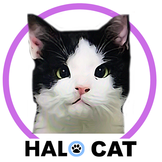 VELVETY VIOLET | LED Cat Halo Collar