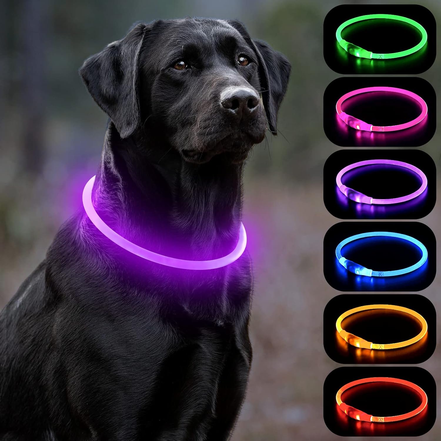 Led top dog necklace