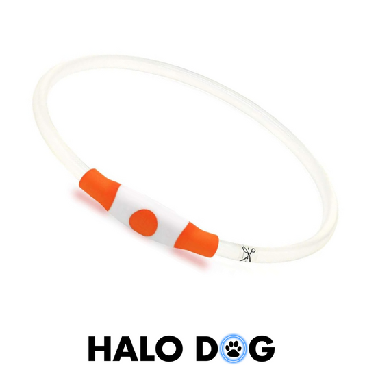 TIGER ORANGE | LED Dog Halo Collar