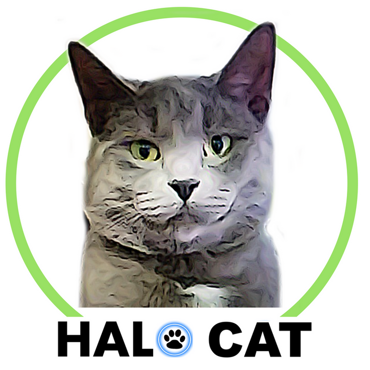 Halo Dog Halo Collar LED dog collars to keep your pets safe and seen