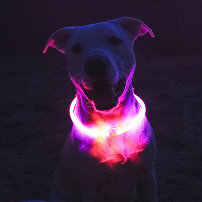 WATERMELON PINK | LED Cat Halo Collar